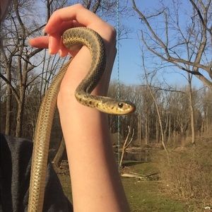 Meet your Posher, Ella